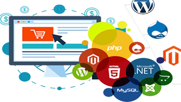 Website Design &amp; Management