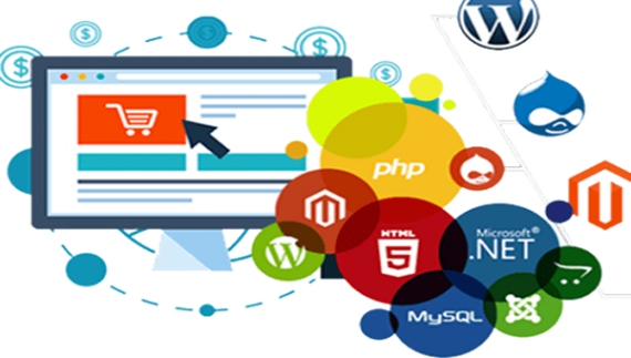 Website Design &amp; Management